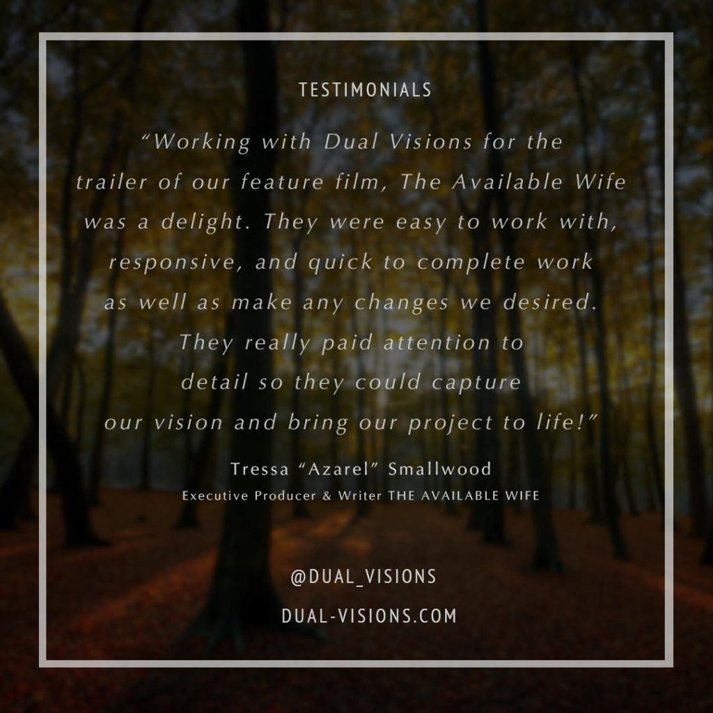 Dual Visions - Client Testimonials - The Available Wife
